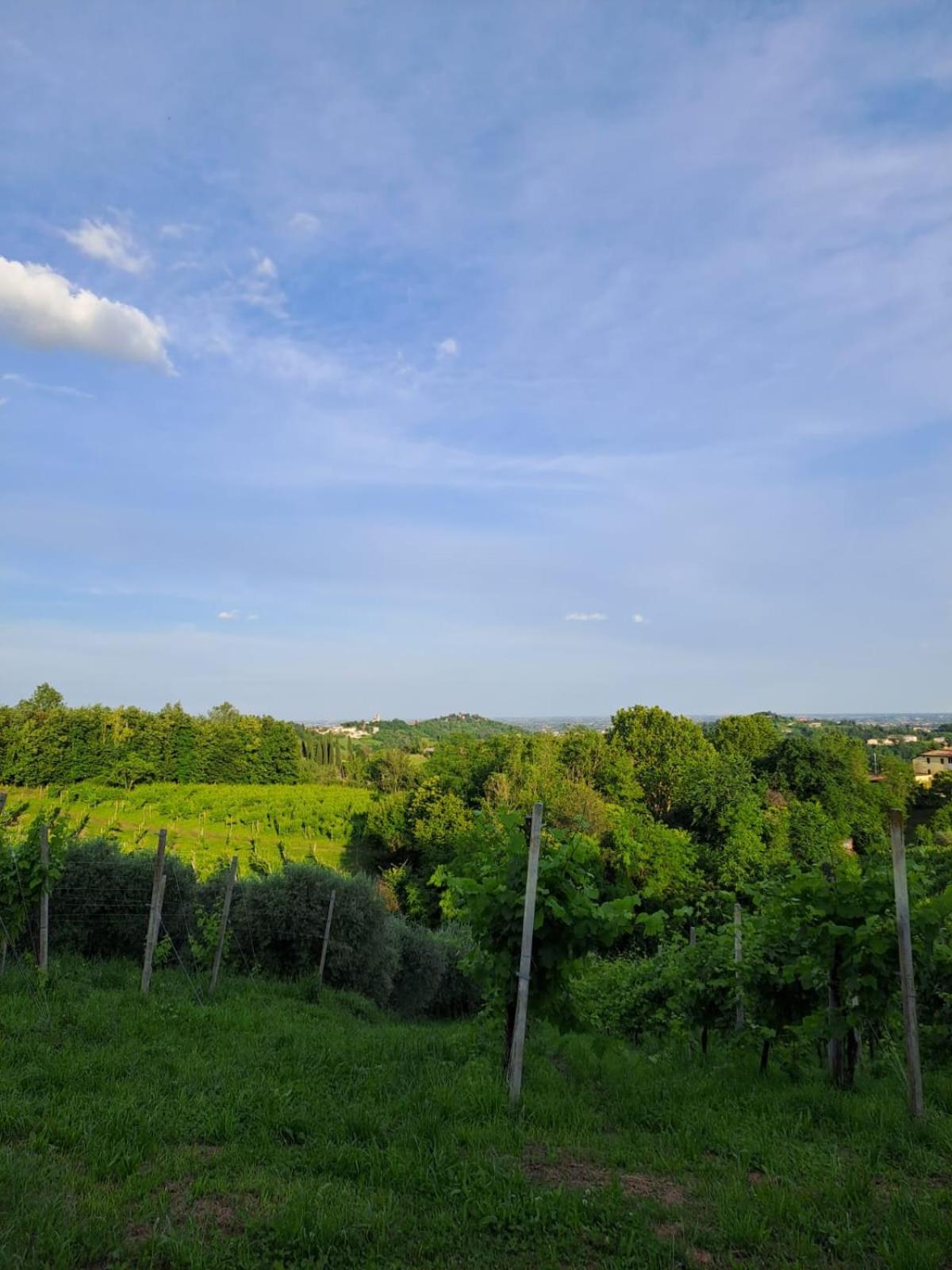 Bed and Breakfast Casa Di Tuco Conegliano Exterior foto